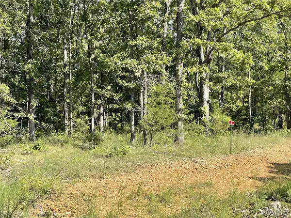 TBD Forest View, Steelville, MO 65565
