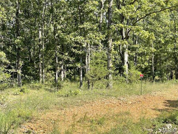 TBD Forest View, Steelville, MO 65565