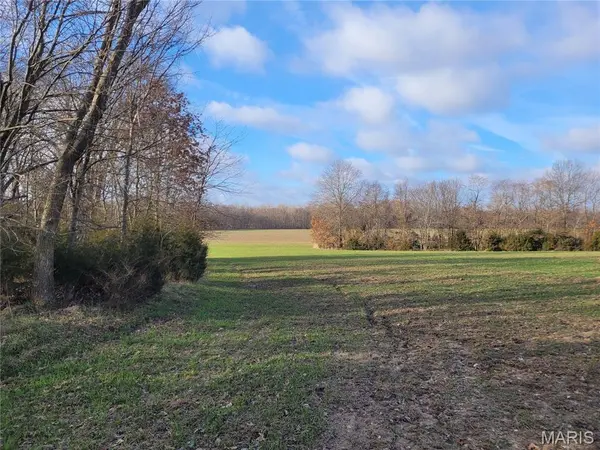 0 Bales Rd. (26.5+/- Acres), Middletown, MO 63359