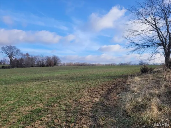 0 Bales Rd. (26.5+/- Acres), Middletown, MO 63359
