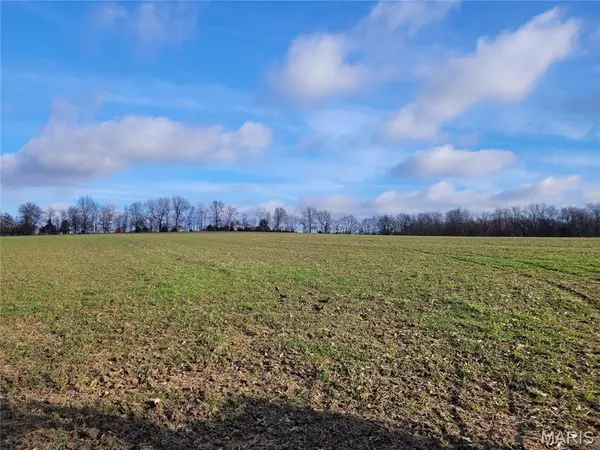 0 Bales Rd. (26.5+/- Acres), Middletown, MO 63359