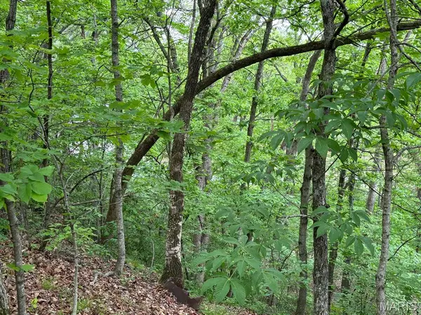 13 Monroe Road 647, Santa Fe, MO 65282