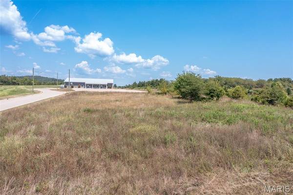 Tract 4 off Hwy 72 Bypass, Fredericktown, MO 63645