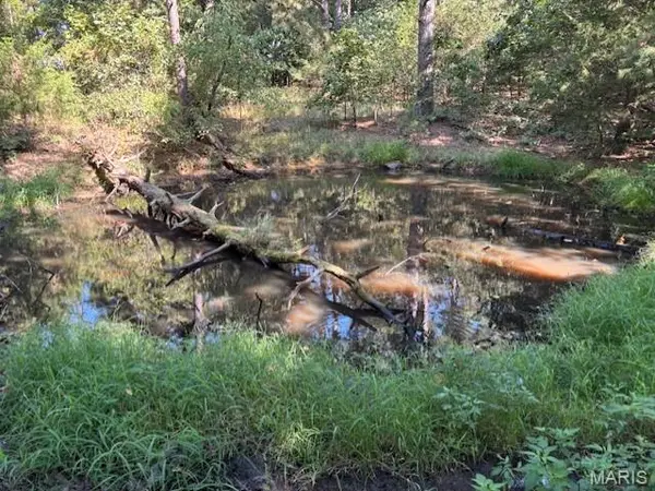 1 off Bollinger County 908, Unincorporated, MO 63662