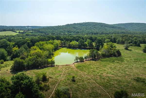 9556 Madison 535, Fredericktown, MO 63645