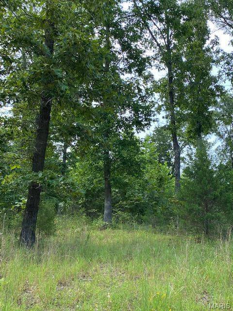 TBD County Road 355, Dora, MO 65637