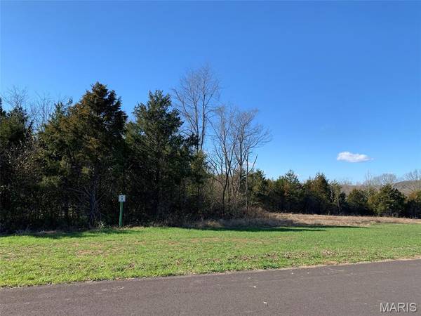 667 #9 Highlands RD, Pacific, MO 63069
