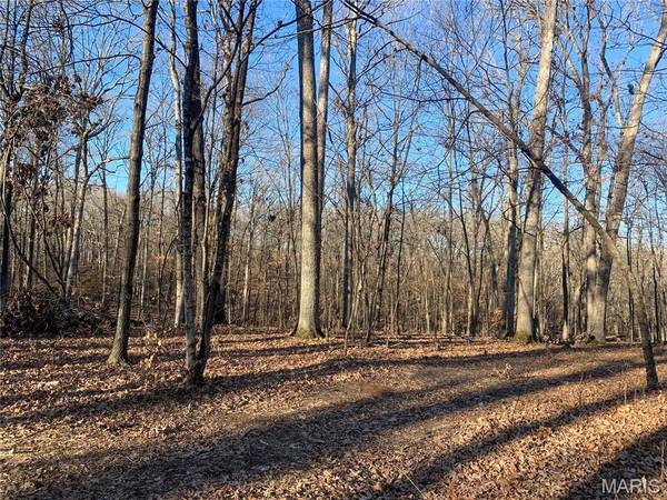 15 +/- Acres Polston Ln., Marthasville, MO 63357
