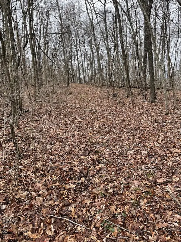 00 Mo-49, Bixby, MO 65439