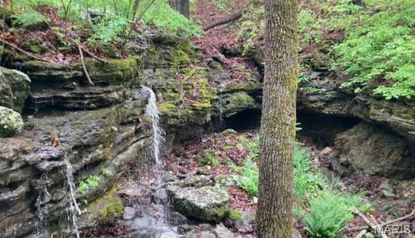 1038 Mug Drive, Macks Creek, MO 65786
