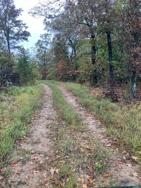 166 Madison CR 410, Fredericktown, MO 63645
