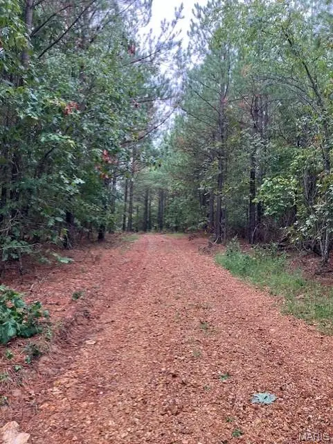 166 Madison CR 410, Fredericktown, MO 63645