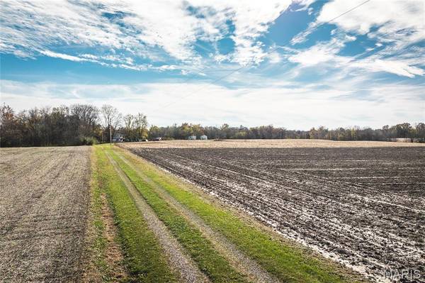 32987 T B Ruyle RD, Medora, IL 62063