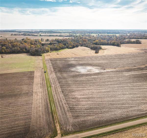 32987 T B Ruyle RD, Medora, IL 62063