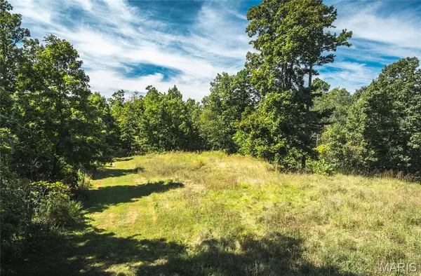 470 County Road 118, Annapolis, MO 63670