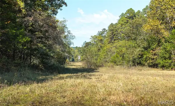 TBD Ashley Creek Road-Tract 2, Unincorporated, MO 65560