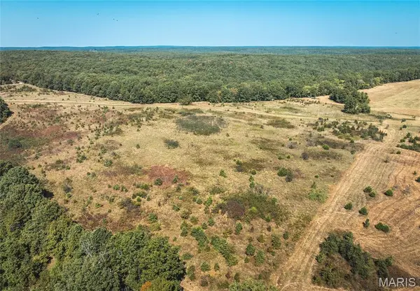 TBD Slabtown RD, Plato, MO 65552