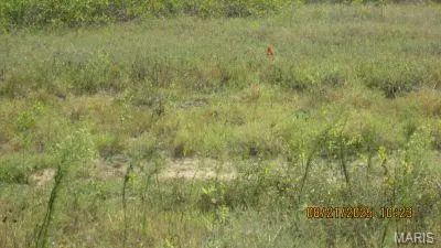224 S Interstate DR, Sikeston, MO 63801