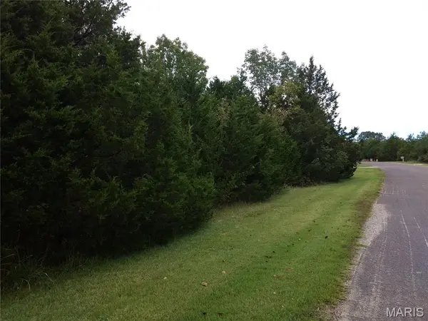 0 Rue Riviera lots 10 & 11, Bonne Terre, MO 63628