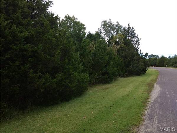 0 Rue Riviera lots 10 & 11, Bonne Terre, MO 63628