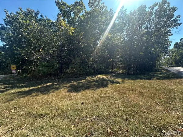 0 N St. Francois Rd, Bonne Terre, MO 63628