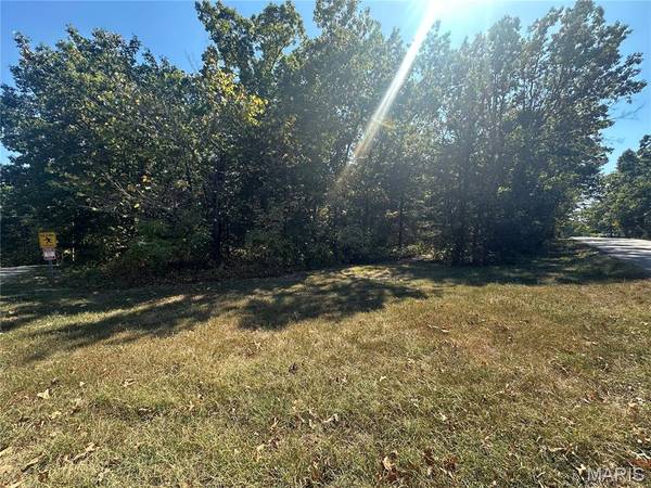 0 N St. Francois Rd, Bonne Terre, MO 63628