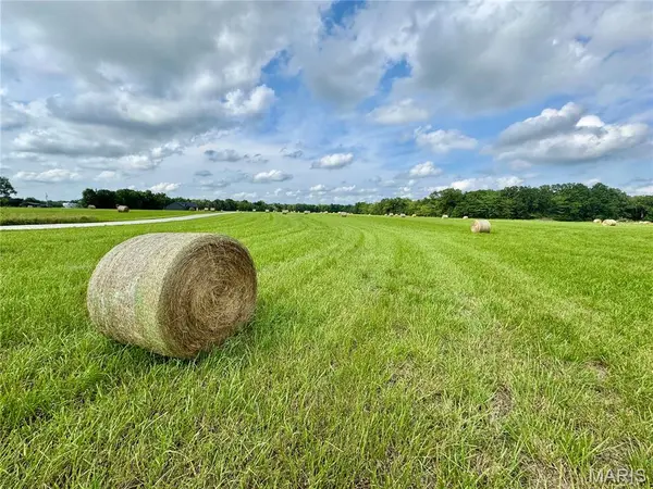 Lot 17 Black Oak Road, Maywood, MO 63454
