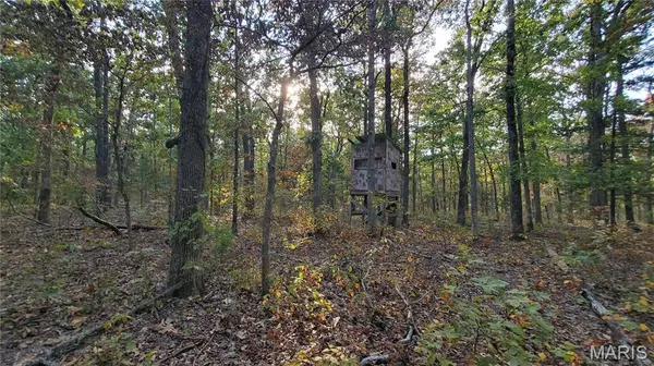 00 County Road 6030, Salem, MO 65560