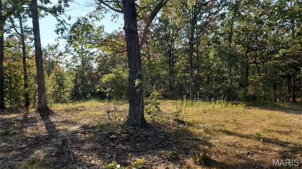 00 County Road 6030, Salem, MO 65560