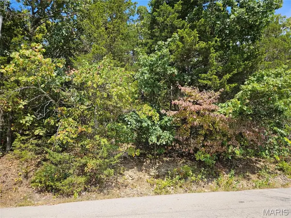 10129 Lake Ridge DR, Hillsboro, MO 63050