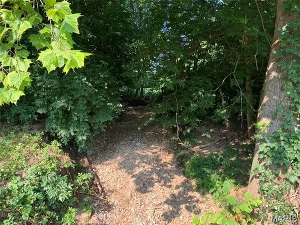 0 Staghorn LN, Wright City, MO 63390