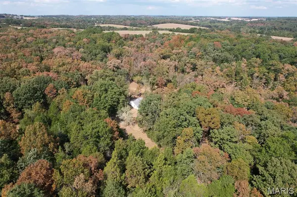 1557 Mill Hill RD, St Clair, MO 63077