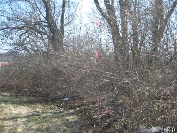 10066 BIG BEND RD, St Louis, MO 63122