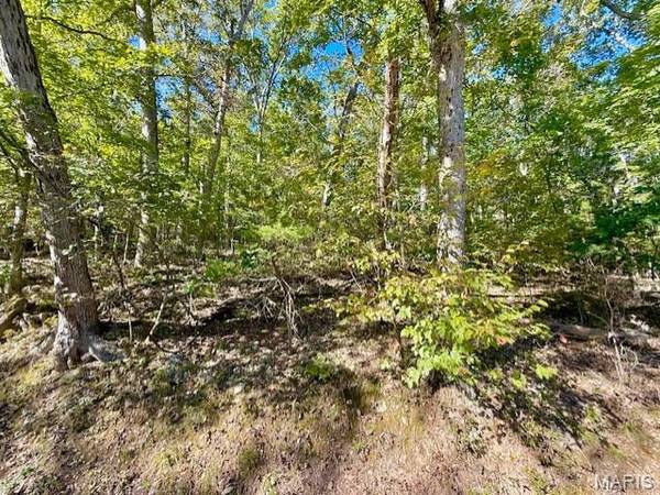 2157 Lake Sherwood DR, Lake Sherwood, MO 63357