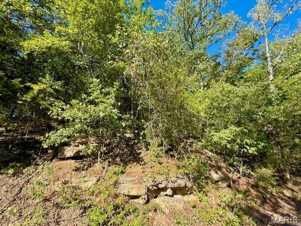 2161 S Lake Sherwood DR, Lake Sherwood, MO 63357