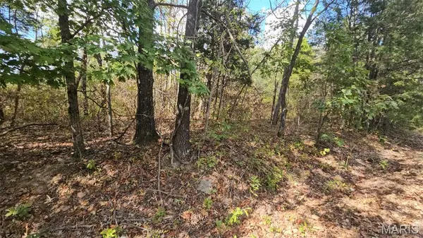 2470 E Squire RD, Lake Sherwood, MO 63357