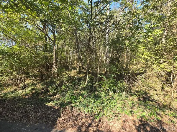 570 Sycamore ST, Newburg, MO 65550