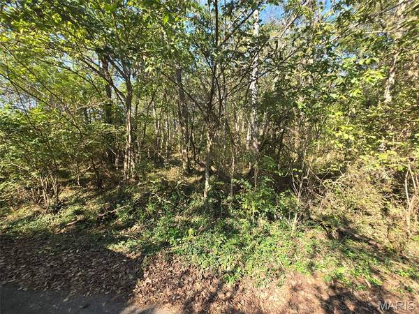 570 Sycamore ST, Newburg, MO 65550
