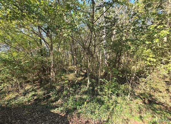 570 Sycamore ST, Newburg, MO 65550