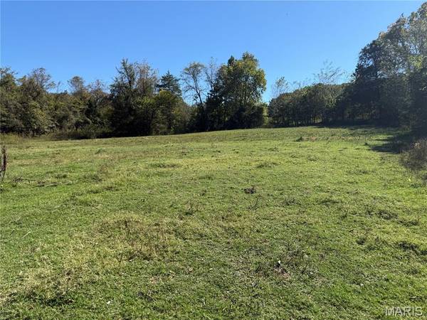 0 Cr 157, Des Arc, MO 63636