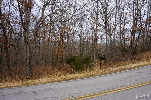 Tract B State Route Y, Dixon, MO 65459