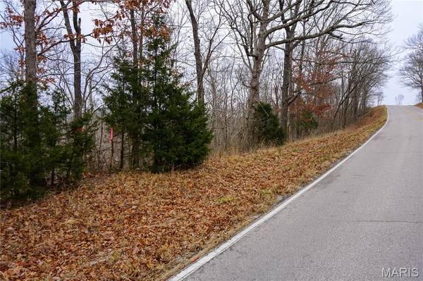 Tract B State Route Y, Dixon, MO 65459