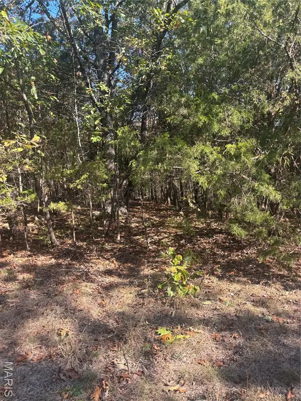 1 Mo-72, Fredericktown, MO 63645