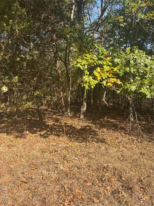 2 Mo-72, Fredericktown, MO 63645