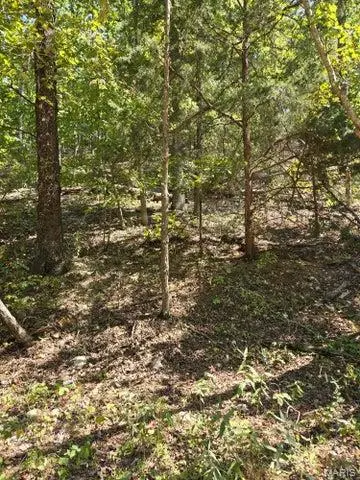 000 County Road 421, Birch Tree, MO 65438