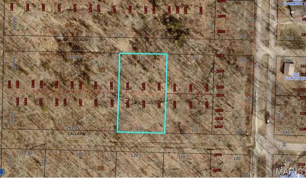 0 Fulton DR, Bismarck, MO 63624
