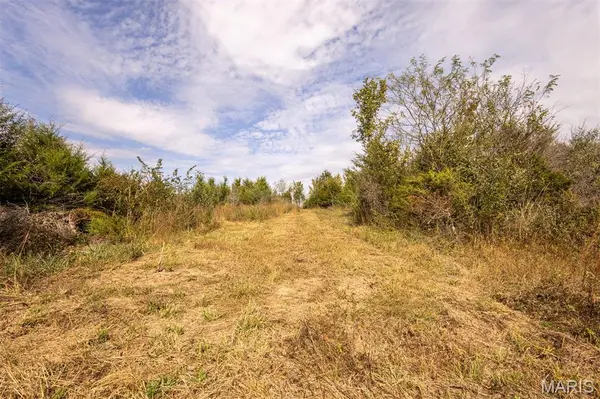 Lot 7 Washington, Perry, MO 63462