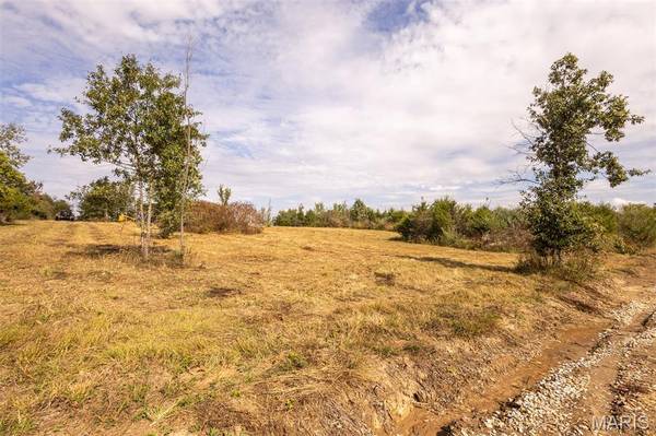 Lot 7 Washington, Perry, MO 63462