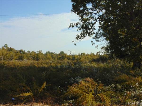 563 Bridge Street, Doniphan, MO 63935