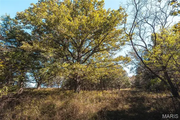45694/45930 Highway 72, Salem, MO 65560